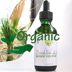 Dandelion Leaf Tincture Pure Liquid Herbal Drops for Liver & Digestive Aid 2oz