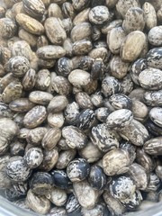1 Lb Or 400 Seeds Stripe Organic Mucuna Beans Mucuna Consumable And Growing