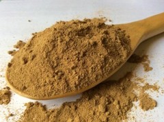 1 Lb /454 gram POWDER Manjakani Oak Gall Quercus Infectoria Organic Wild Crafted