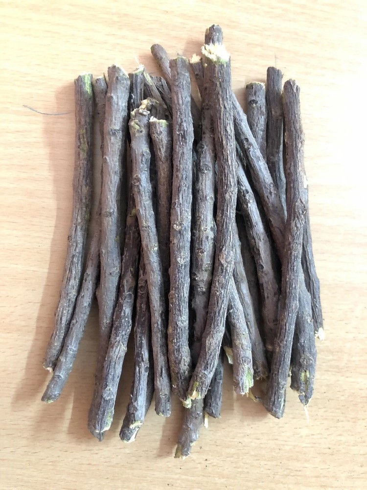100 Pc Neem Sticks Azadirachta Indica Sticks DATUN for Teeth and Gums FREE SHIP