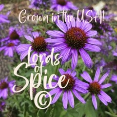 Echinacea Tea – Purple Coneflower – Classic Immune Support Herb – USA