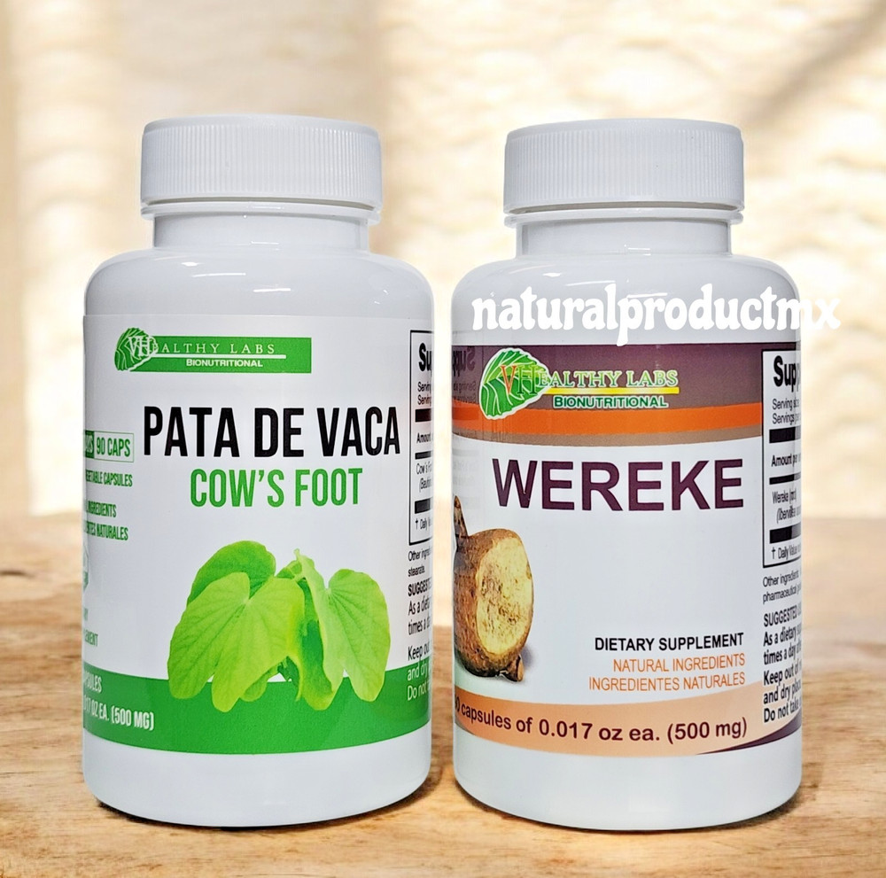 Wereke (Maximowisda Sonorae) – Pata de Vaca (Cows Foot Herb) Glucose Support