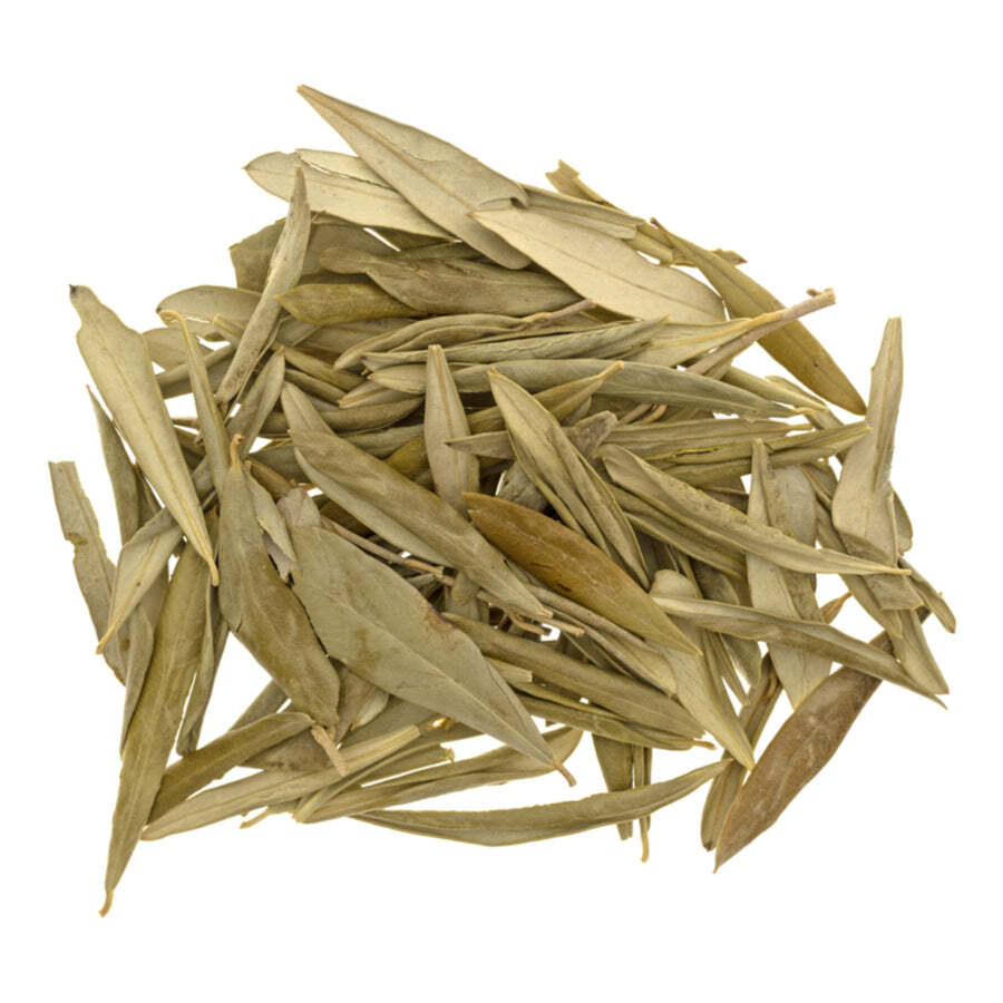 Olive Leaf Whole Non- GMO Tea Premium Quality FREE SHIP
