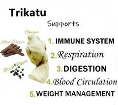 🌿 Himalaya Trikatu – 60 Tablets Each | Pack of 10 | Expiry 01-2026 |