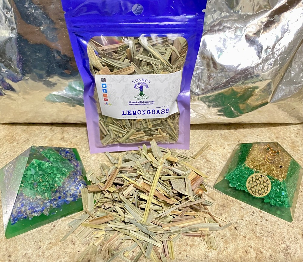 Jamaican ‘Fevergrass’ Lemon Grass (Wildcrafted Dry Herb)