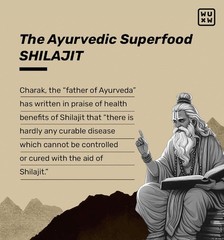 What’s Up Wellness Shilajit/Shilajeet Gummies Improves Strength, Stamina, 30N