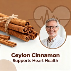 Ceylon Cinnamon Extract 600 Mg Softgels Blood Sugar Cardiovascular 30-120 Count