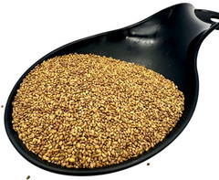 Organic Alfalfa Seeds 25gr-2kg – Medicago Sativa |