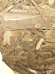 Mauby Bark 5 lb/ -80 Oz Caribbean product herbs and botanicals 😇🤗🔥🔥