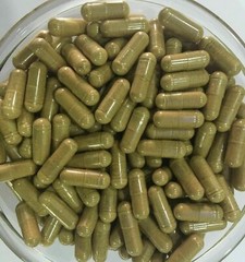 Ganoderma Lucidum Extract 10:1 Capsules (Reishi Mushroom) Antioxidant