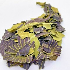 Blue Lotus, Nymphaea caerulea, Organic Leaf ~ Schmerbals Herbals