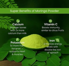 Premium Herbal Moringa Powder – Freshly Harvested