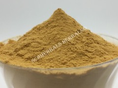Lemon Balm, M. officinalis, 100:1 Powdered Extract ~ Schmerbals Herbals