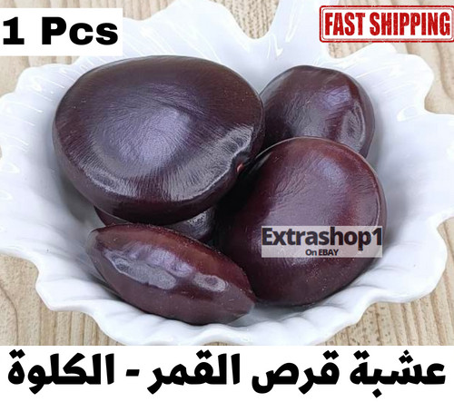 Wild Tibet Fruit Seed Dried Herb Natural Body Care 1Pcs عشبة الكلوة – قرص القمر