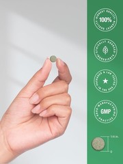 Chlorophyll Tablets | 300 Chewables | Peppermint Flavor | Vegan | by Horbaach