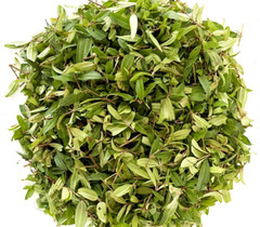 Dried Osbeckia Octandra Melastomatacea Ayurvedic Fatty Liver Cirrhosis Medicine