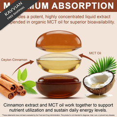 FANSHI Ceylon Cinnamon Softgels with MCT Oil – Premium 1 Count (Pack of 300)