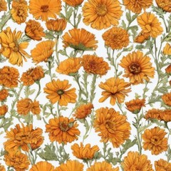 Calendula Flower Petals 100% Natural Dried Apothecary Herbal Herbalism 1oz USA