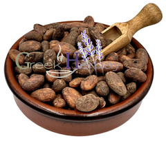 100% Organic Raw Criollo Whole Cacao Beans 20g – 4.9kg Theobroma Cacao