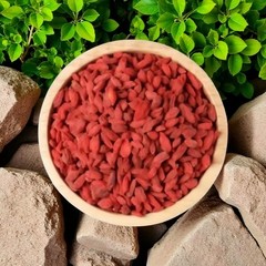 Dried Berberine Herbs Naturally Sourced Wellness عشبة البربرين اعشاب بربرين