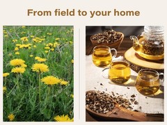 Dandelion Root – Cut & Sifted – Dried Herbal Root