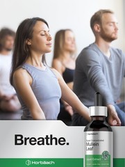 Mullein Leaf Extract Drops | 2 fl oz | Alcohol Free Liquid Tincture | Vegetar…
