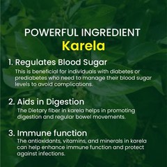 Cipzer Bitter Melon 30Capsule |Natural Blood Sugar Support |Powerful Antioxidant