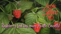 Red Raspberry leaf tea – Herbal Tea – Free Shipping – USA