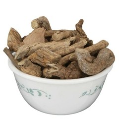 BHARANGI CHHAL -BHADANGI ,CLERODENDRUN SERRATUM Vardhara mud Whole 50gm /1.76 oz