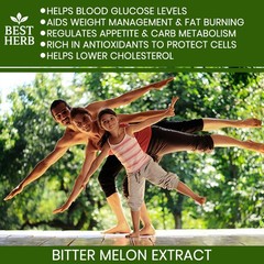 60 BITTER MELON PILLS CHOLESTEROL REDUCTION BLOOD SUGAR SUPPORT GLUCOSE PILLS