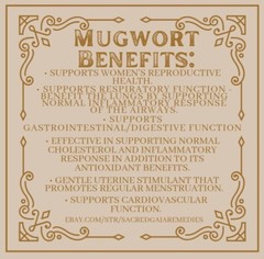Mugwort Tincture, Herbal Extract, Double Extract, Dream Herbs, Relax, Digestion