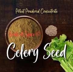 Celery Seed Powder -Celery Spice / Herbs – QUALITY – Bulk – USA