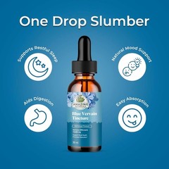 Blue Vervain Herbal Extract Tincture – Liquid Supplement for Mood & Immune Suppo