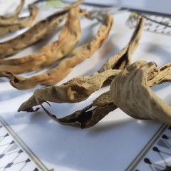 100 organic Insulin plant leaves fresh dried Thebu/Costus Igneus