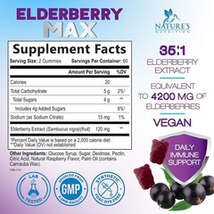 Elderberry Gummies – High Potency Immune Support w/ Sambucus Black Elderberries