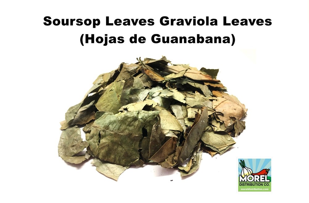 Dried Graviola Leaves, Dried Soursop Tea Leaves, Hojas de Guanabana 2 oz & 4 oz