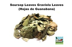 Dried Graviola Leaves, Dried Soursop Tea Leaves, Hojas de Guanabana 2 oz & 4 oz