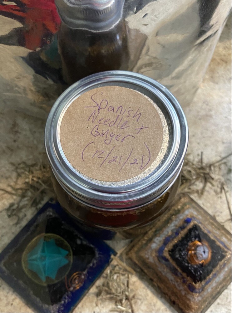 Jamaican Spanish Needle & Ginger Tincture