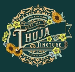 Thuja Extract (Thuja plicata) Apothecary Grade Herbalism – Pure – USA
