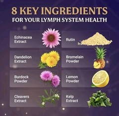 Everfaith LymphaFlo Lymphatic Drainage Supplement Lymph System Support