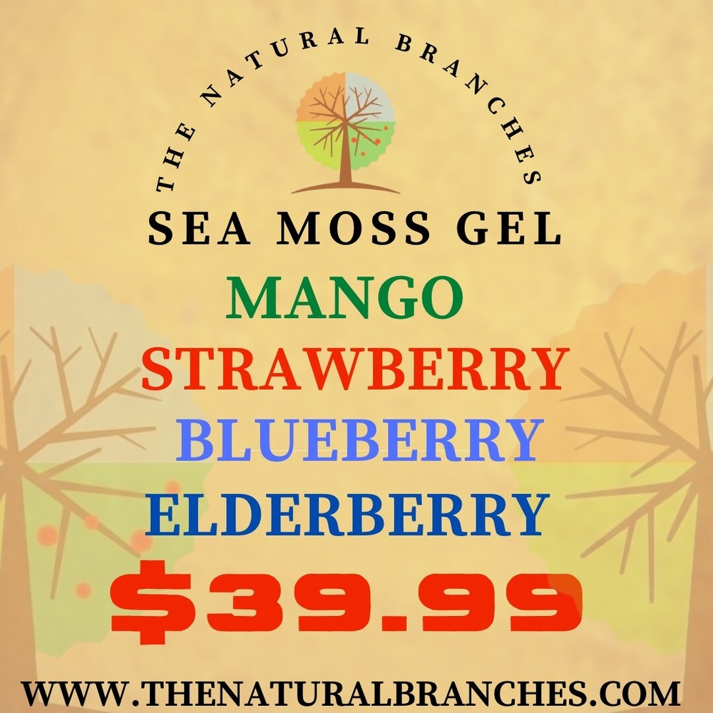 Variety 4 Pack Mango, Strawberry, Blueberry & Elderberry TNB