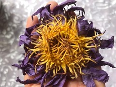 Blue Lotus NYMPHAEA CAERULEA 100% Organic Hand Picked Pure Flowers Herbal Tea