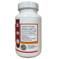 Organic Bhumy Amalaki Powder 100 Vegicaps – Certified Herbal Supplement, Immune