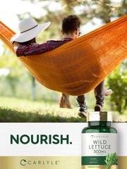 Wild Lettuce Extract 500mg | 200 Capsules | Non-GMO, Gluten Free | by Carlyle