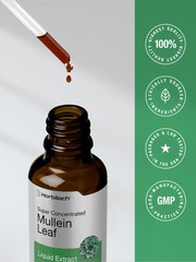 Mullein Leaf Extract Drops | 2 fl oz | Alcohol Free Liquid Tincture | Vegetar…