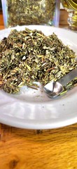 Mugwort Tincture, Handcrafted, Organic, Lucid Dream, Astral, Sleep