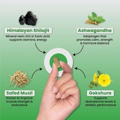 ZEROHARM Nano Himalayan Shilajit 60 Tabs | Ashwagandha, Safed Musli, Gokshura N4