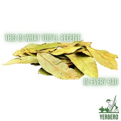 0.75oz All-Natural Graviola Soursop Leaves – Refreshing Herbal Tea Experience