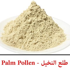 Date Palm Pollen Powder 50g – Pure Natural | Traditional Vitality Wellness | طلع