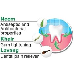 Arodent Gum Paint – Ayurvedic Remedy for Gingivitis, Bleeding Gums, Oral Ulcers*
